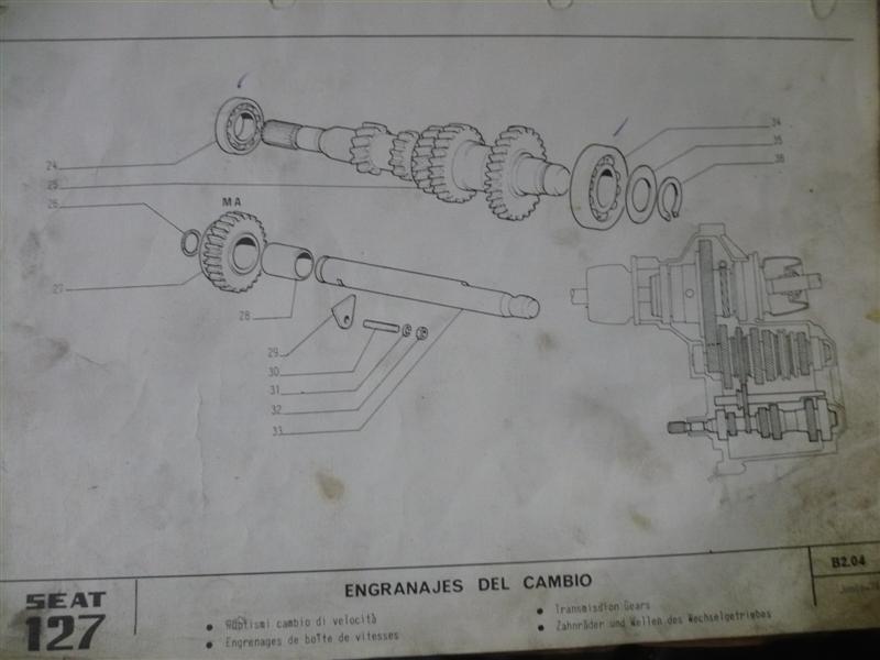CC208 FIG.36 ANILLO ELASTICO SEGURIDAD POSTERIOR EJE PRIMARIO CAJA SEAT 127 I SERIE